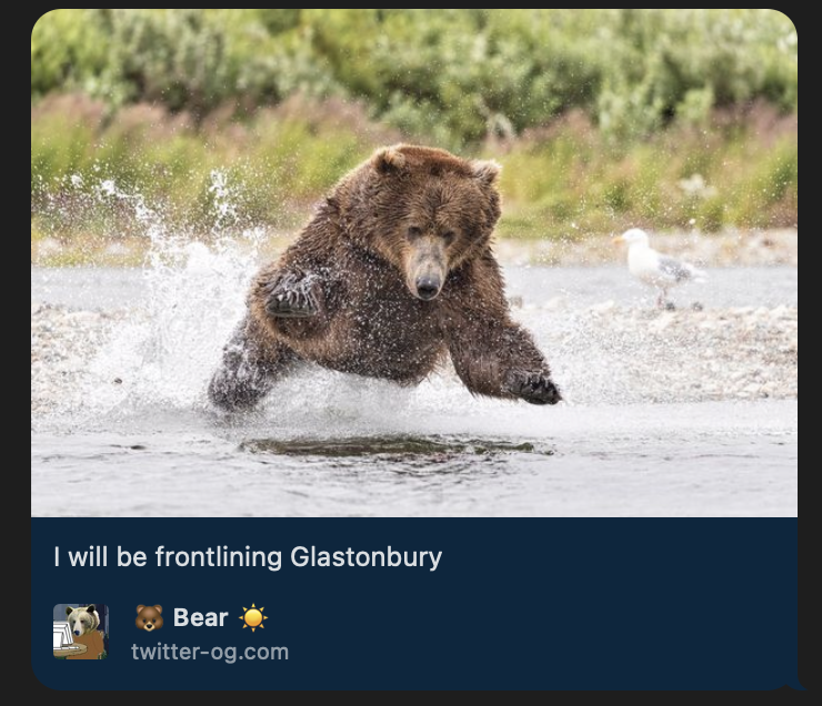 Screenshot of a link in iMessage with the caption 'I will be frontlining Glastonbury' and with a picture of a bear jumping in shallow water